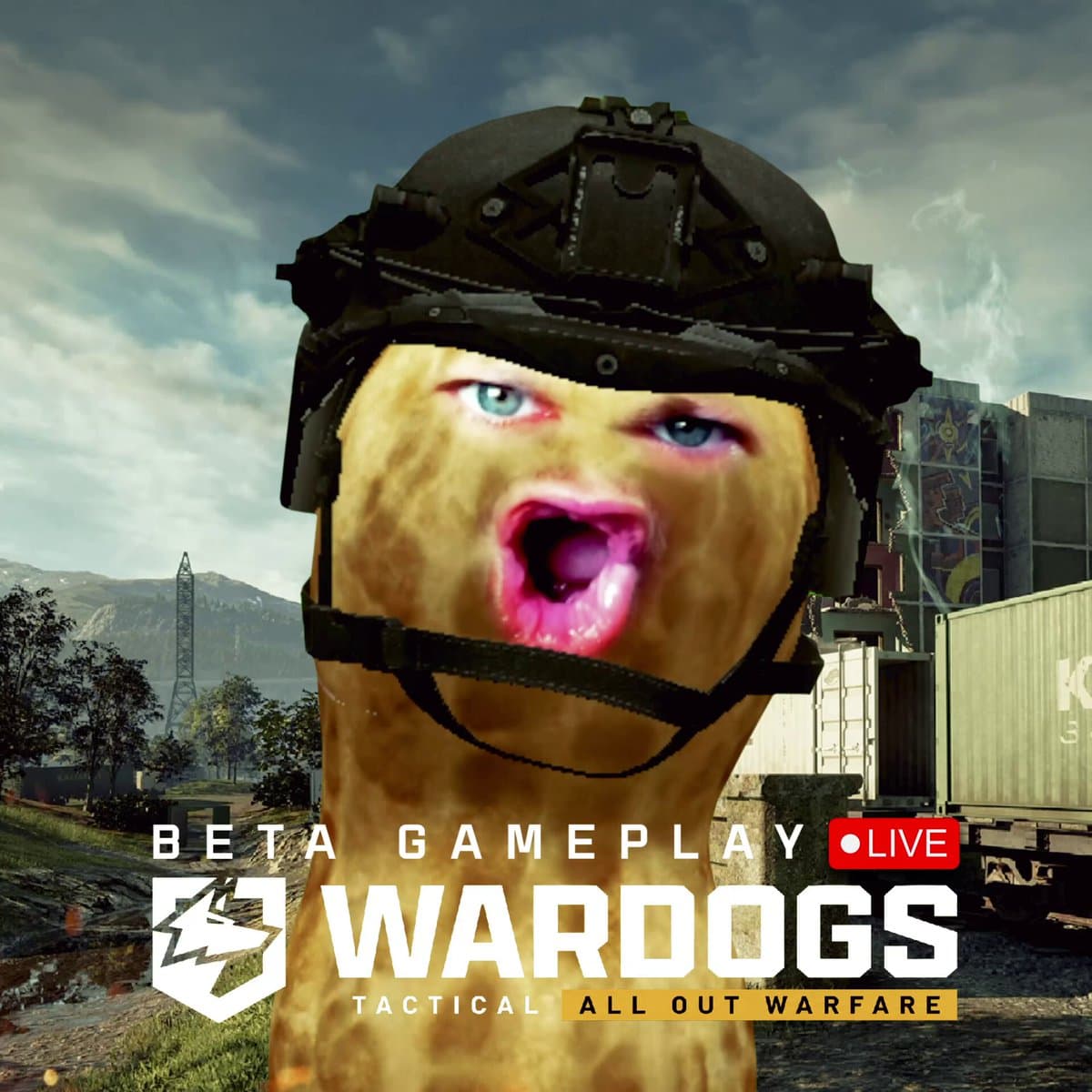 WARDOGS BETA FUCK A FAN FRIDAY LIVE NOW w/ @HutchMF @NICKMERCS @cloakzy http://twitch.tv/…
